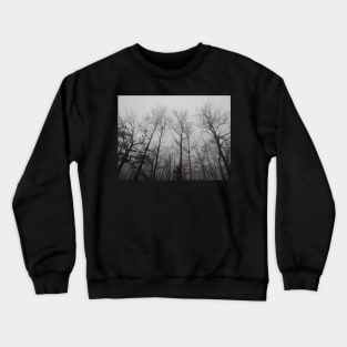 Misty Woods Crewneck Sweatshirt